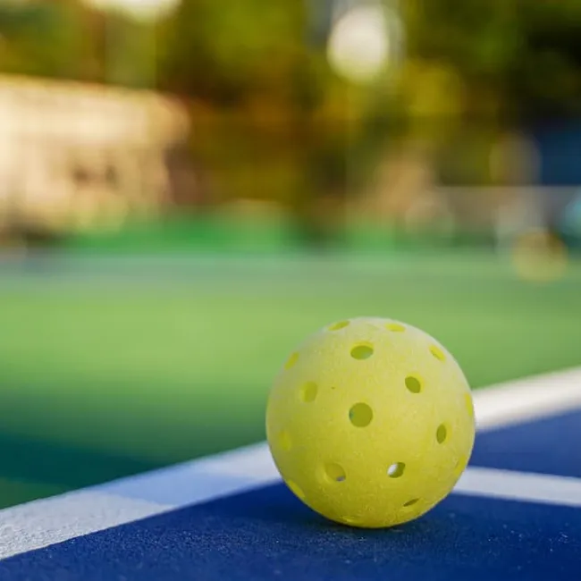 A pickleball on a pickleball court.