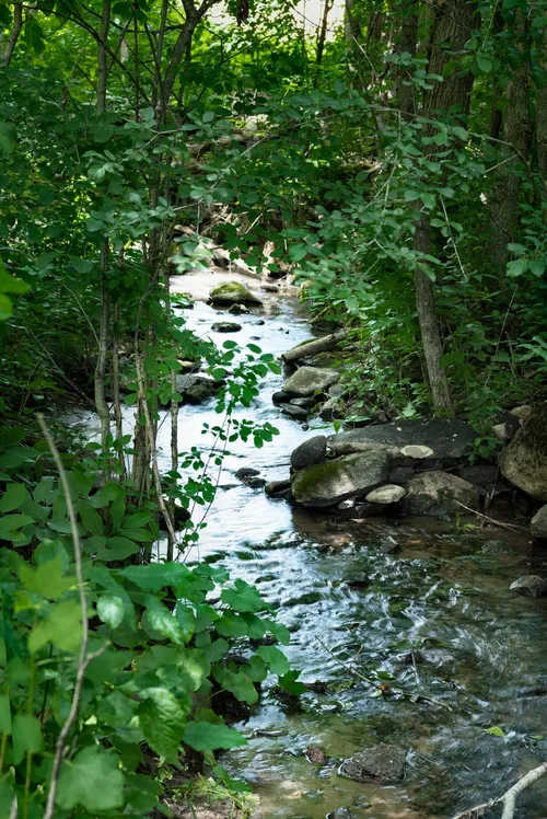 A river along a green path close to Watercolour Westport.