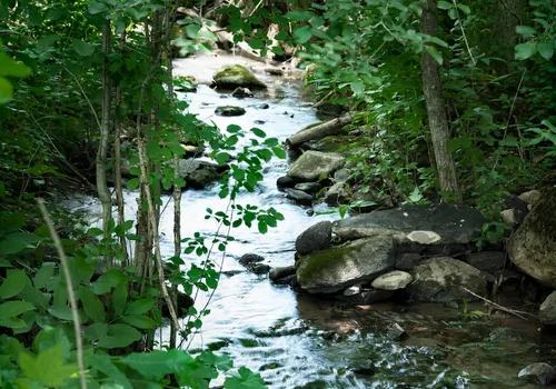 A river along a green path close to Watercolour Westport.