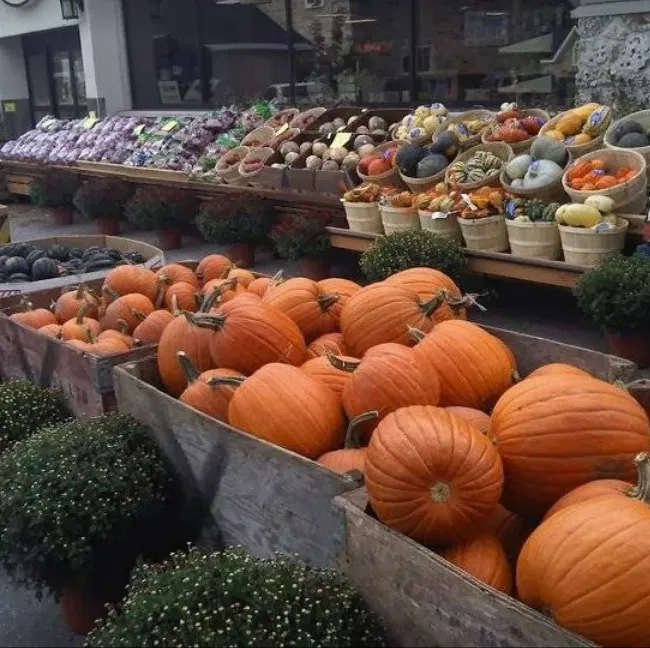 Kudrinko's outdoor vegtable selection in Watercolour, Westport.
