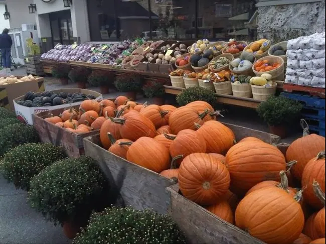 Kudrinko's outdoor vegtable selection in Watercolour, Westport.