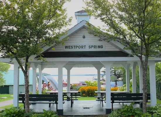 Westport spring of Westport Harbour.