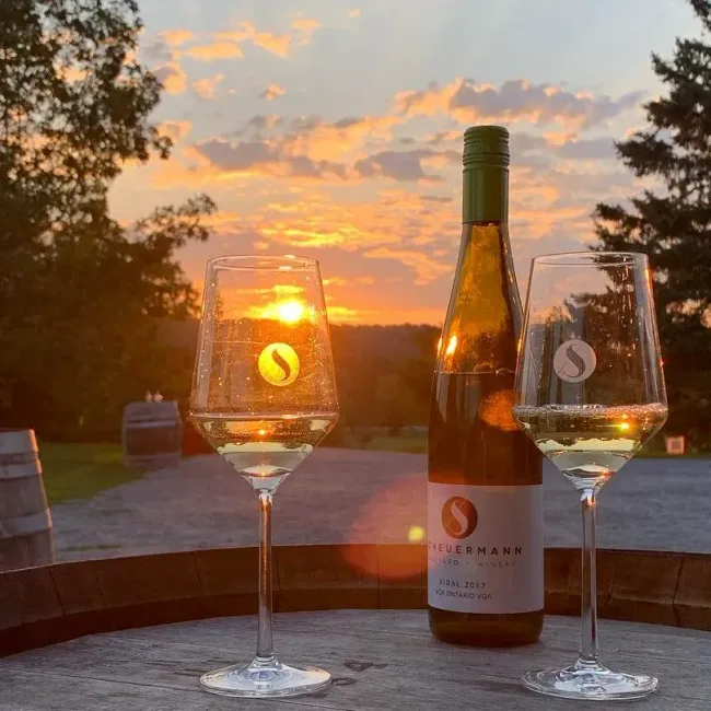 Two glasses in front of a sunset at Scheuermann winery.
